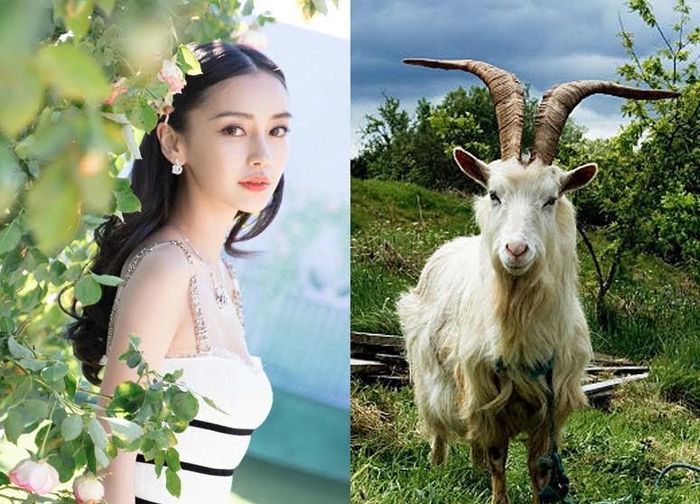Tuổi Mùi: Chuyện tình cảm của người tuổi Mùi đi xuống, xảy ra nhiều mâu thuẫn. Sự nghiệp đi lên, được người thân giúp đỡ. Tài vận tốt, có năng lực, được tạo cơ hội tăng thêm thu nhập, Sức khỏe tốt. 
