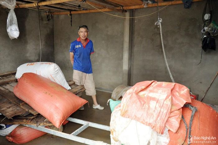 Phần lớn số lúa của gia đình ông Trần Xuân Thanh, thôn Mỹ Hương (xã Thanh Mỹ) bị ướt do nước ngập. Ảnh: Công Kiên