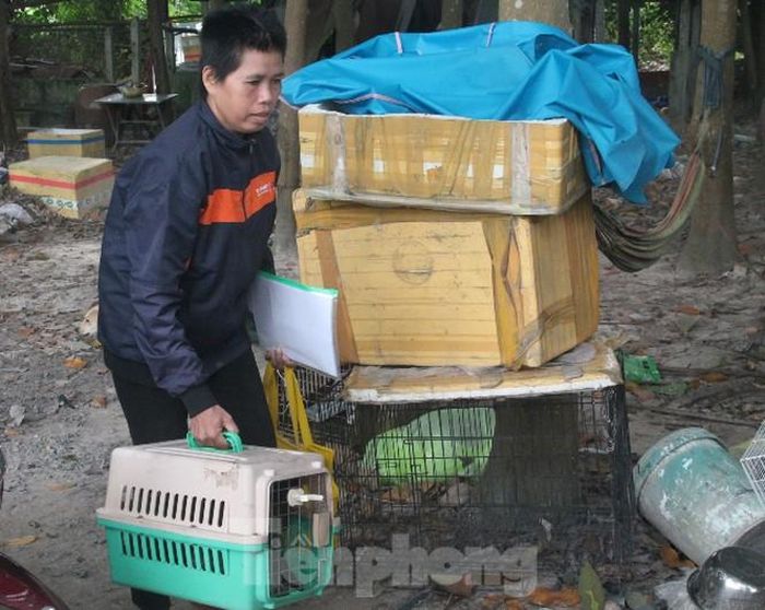 Biết chỗ nào có thú cưng bị bỏ rơi, chị Hà lập tức đến mang về nuôi