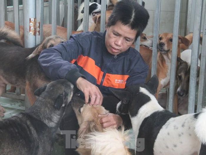 Người phụ nữ xem thú cưng như con của mình