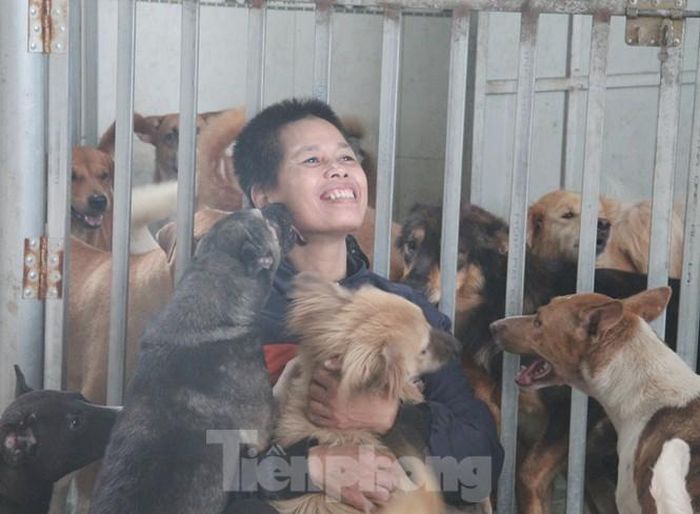 Những thú cưng bị ghẻ, bệnh đều khỏe mạnh sau thời gian được chị Hà mang về chăm sóc