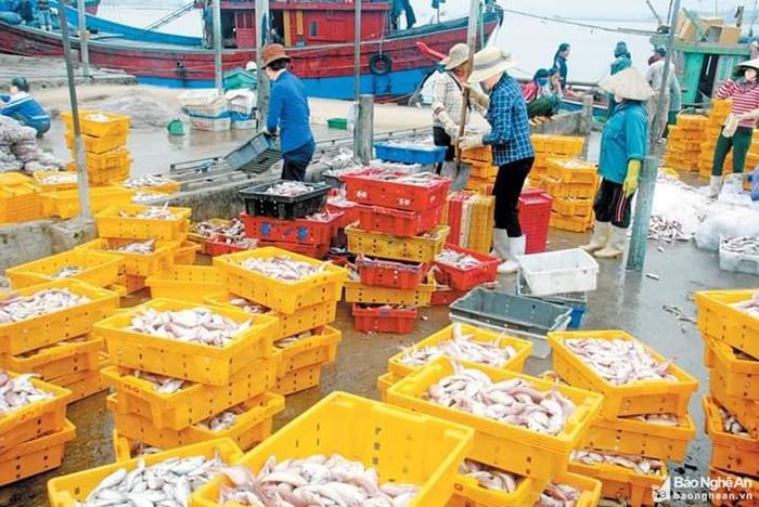 Hải sản của ngư dân sau những chuyến ra khơi. Ảnh TL