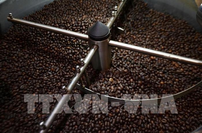 Nam Phi đưa ra các quy định mới về cà phê và các sản phẩm liên quan. Ảnh minh họa - TTXVN