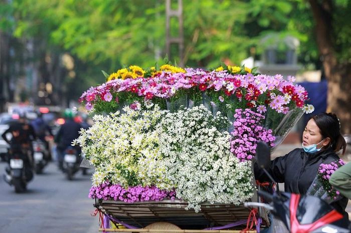 Trên các con phố như Phan Đình Phùng, Thanh Niên, Thụy Khuê... không khó để bắt gặp những chiếc xe đạp cũ kĩ chở đầy hoa cúc họa mi.