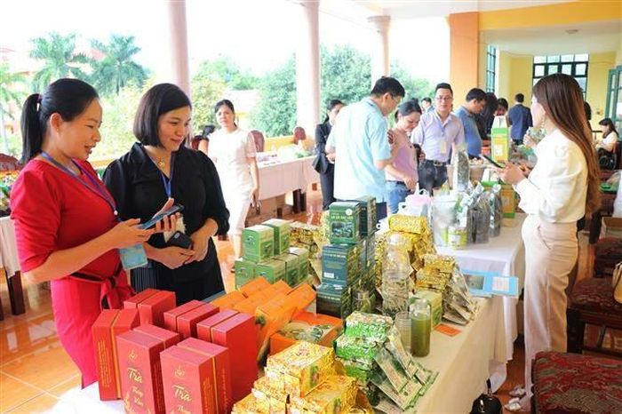 Đại biểu tham quan nơi trưng bày các sản phẩm thuộc chương trình "Mỗi xã một sản phấm" (OCOP) của các tỉnh, thành phố tham dự hội nghị.