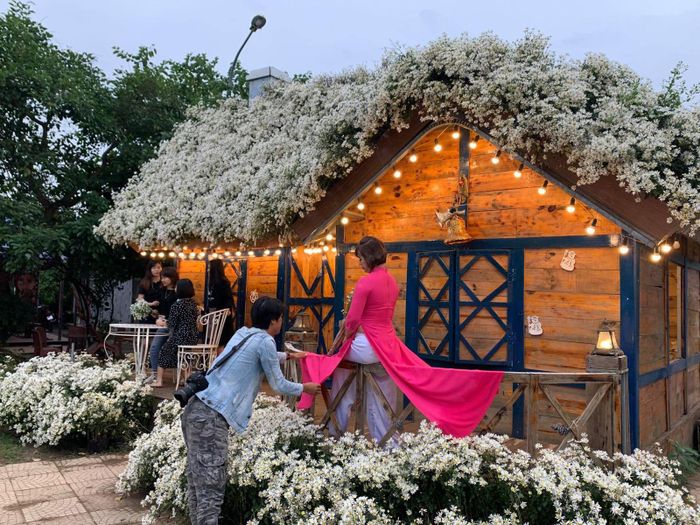 Một số bạn gái chọn cách tạo dáng ấn tượng với phối cảnh ban công cúc họa mi.
