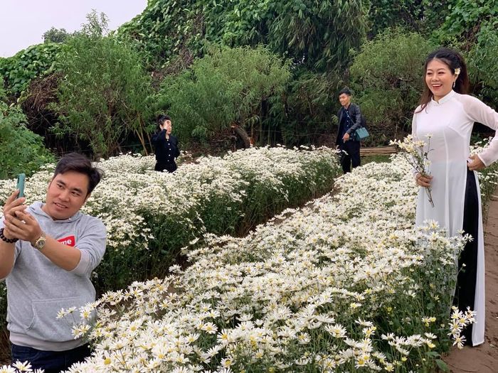 Đến với cúc họa mi, các bạn trẻ có thể lựa chọn cho mình nhiều phong cách chụp ảnh đa dạng để có những bức hình ưng ý như diện áo dài trắng, trang phục dễ thương, đáng yêu, thôn nữ... Năm nay, do thời tiết, loài hoa này nở muộn hơn so với những năm trước.