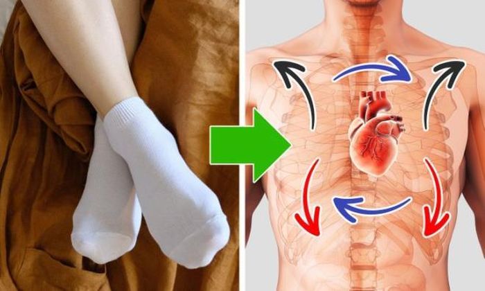 Cải thiện sức khỏe: Mang tất khi ngủ làm giảm nhiệt độ cơ thể và giúp máu lưu thông tốt hơn, do đó bạn ngủ ngon và sâu giấc hơn. Từ đó bạn sẽ thấy hạnh phúc và tràn đầy năng lượng suốt ngày dài.