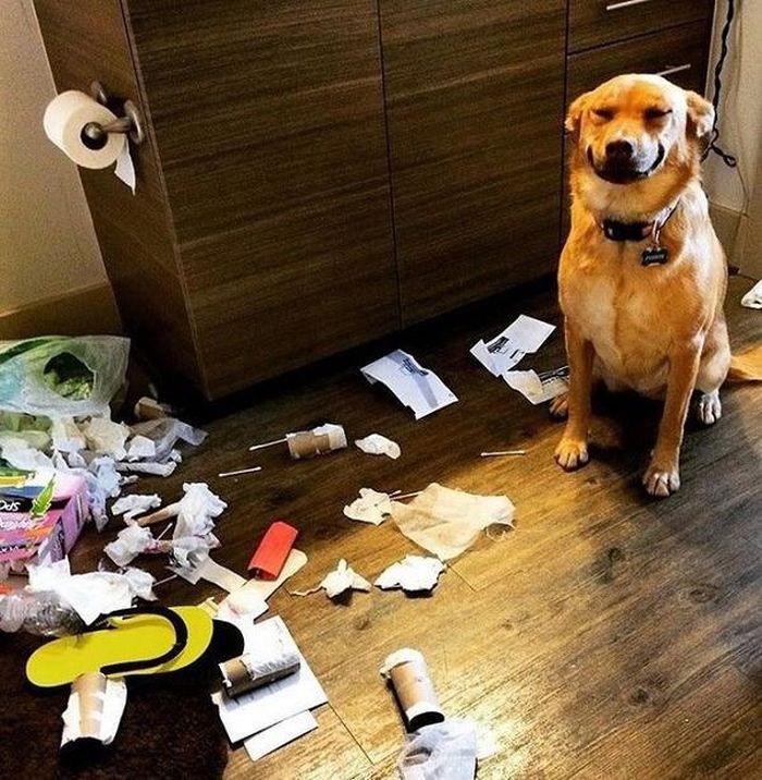 Phá bĩnh như nào chỉ cần nở một nụ cười thân thiện là được.
