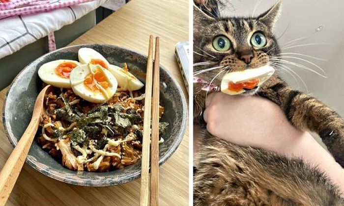 Kẻ trộm nhanh nhẹn ăn cắp được một nửa quả trừng và ngậm chặt không buông.