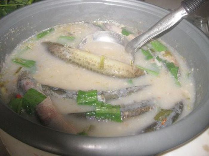 Cá chạch đem đi làm sạch bằng cách khử mùi tanh, lớp nhờn trên da, bỏ nội tạng, tốt nhất nên rửa nhiều lần qua muối và rửa lại hai ba nước lọc. Bắt lên bếp một chảo nhỏ. Khi chảo nóng, cho một ít dầu vào trong chảo và tiếp tục cho cá chạch cùng với các loại gia vị khác và đảo đều tay. Tắt bếp khi cá đã chín vàng.