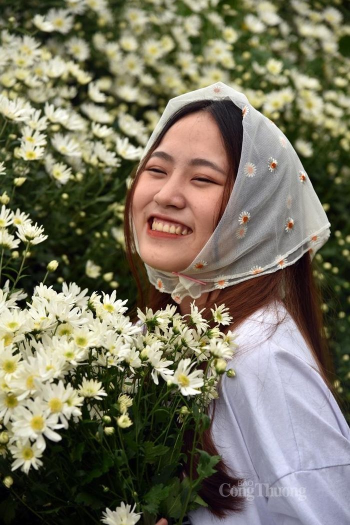 Rạng rỡ cùng cúc họa mi