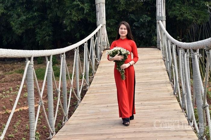 Thả dáng bên cầu cùng cúc họa mi