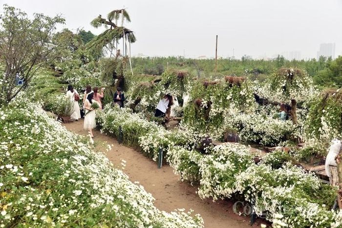 Không gian đậm sắc màu cổ tích