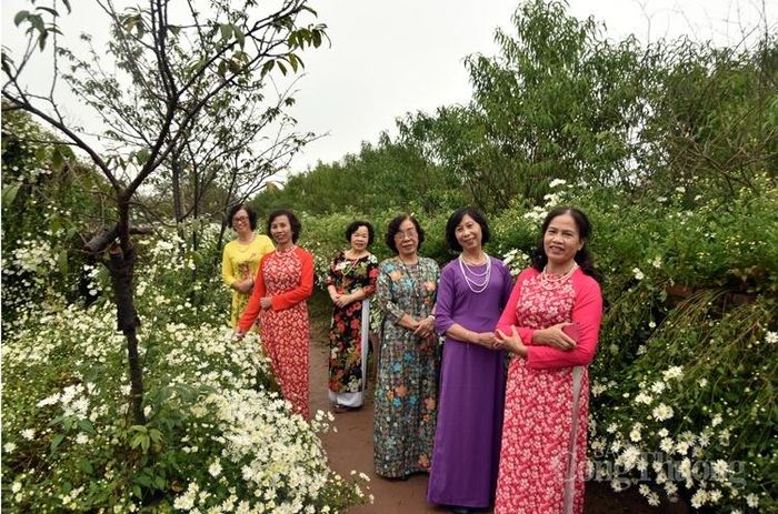 Nhân Ngày nhà giáo Việt Nam, các cô giáo trường Chu Văn An tự “thưởng” cho mình một buổi ngắm cúc họa mi
