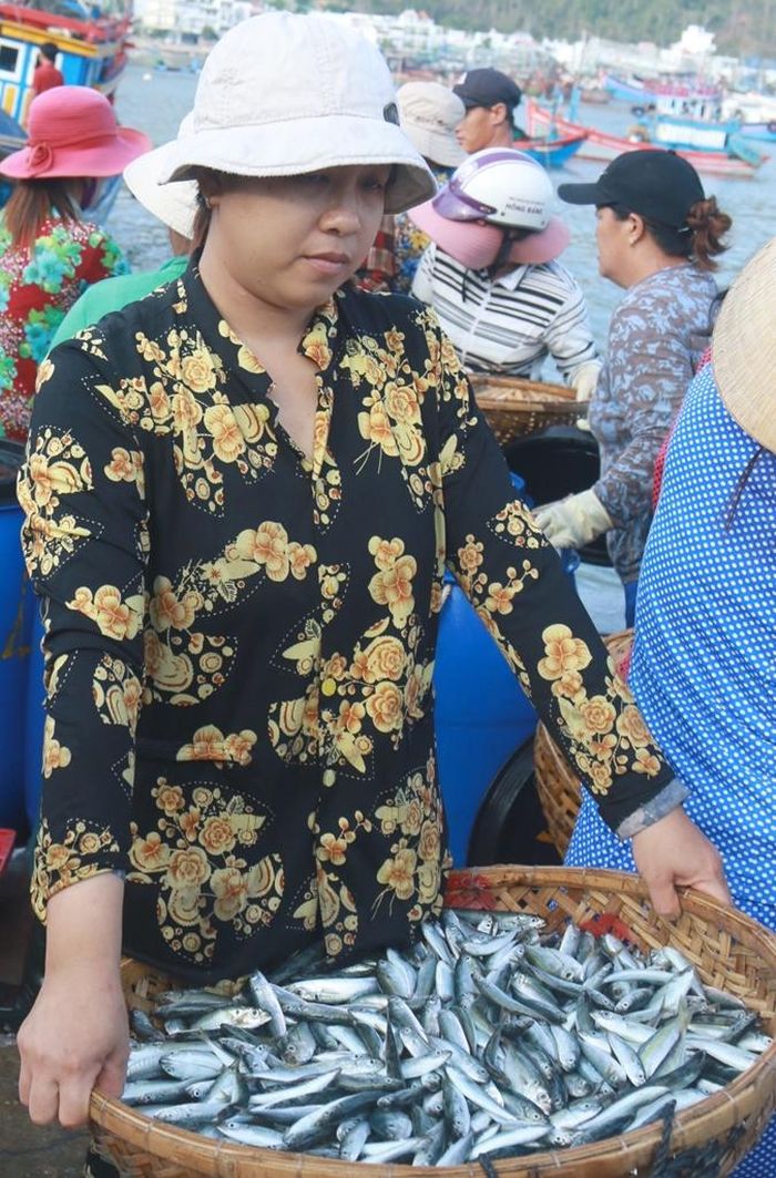 Rất nhiều phụ nữ chen lấn để mua được cá tươi từ tàu thu mua tại cảng Cửa Bé, để đi bán ở các chợ trong tỉnh Khánh Hòa. Ảnh: Hải Luận