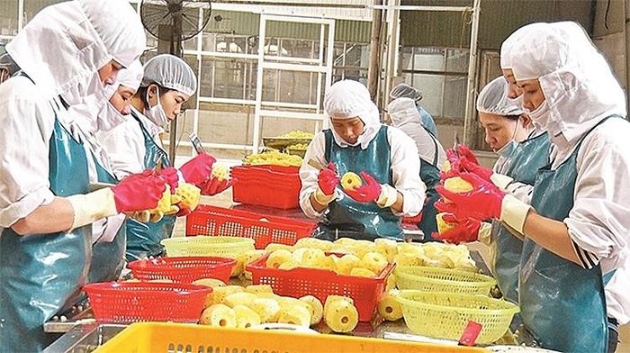 Để thúc đẩy phát triển nông nghiệp, mấy năm gần đây, huyện Nho Quan đã thực hiện liên kết giữa nông dân với doanh nghiệp đem lại thu nhập ổn định cho nông dân…