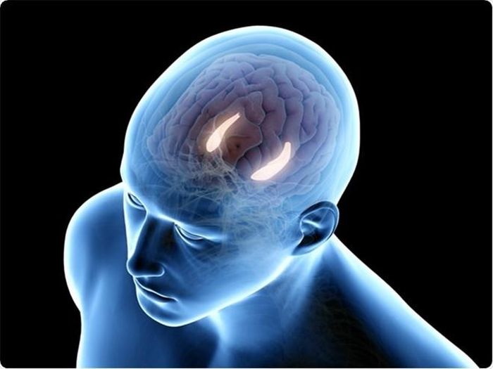 Quá trình hình thành ký ức diễn ra ở hồi hải mã khi não sử dụng bối cảnh xung quanh để mã hóa thông tin.