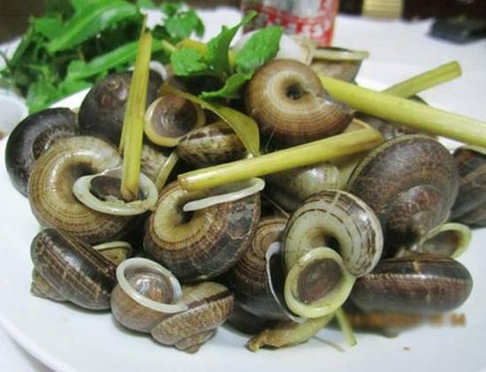 Ốc núi có mặt ở rất nhiều nơi trên cả nước nhưng tập trung chủ yếu ở vùng núi đá vôi thuộc huyện Nho Quan, Tam Điệp, Yên Mô, tỉnh Ninh Bình. Trong khi đó, tại Hòa Bình, loài ốc này xuất hiện ở hầu hết các cánh rừng của huyện Mai Châu, thường tập trung nhiều nhất ở các cánh rừng rậm, nhiều cây cối, ẩm thấp.