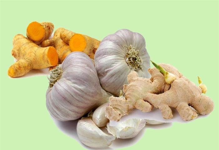 Bảo quản gừng, nghệ, khoai tây... trong cát sẽ giúp chúng tươi ngon.