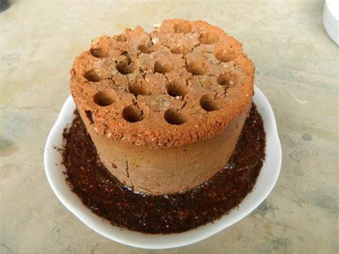 Kỹ thuật trồng rau sạch bằng sỉ than rất đơn giản nhưng cho hiệu quả cực cao. Ảnh minh họa 