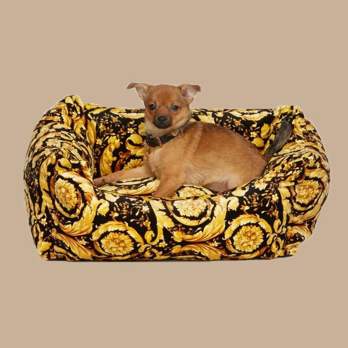  Đệm nằm cho thú cưng từ Versace in những họa tiết đặc trưng của thương hiệu. Bên cạnh đó, bản phối màu vàng đen khiến tổng thể trông sang trọng. Thiết kế hiện có giá 1.373 USD. Ảnh: Versace. 