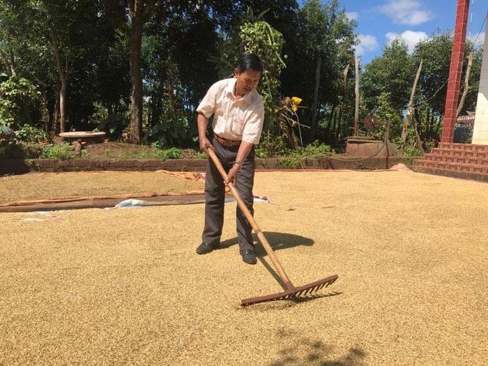 Ông Ksiu Plak là hộ điển hình sản xuất giỏi của làng Thung. Ảnh: R'Ô Hok