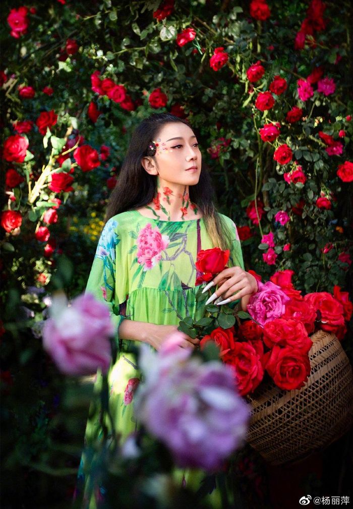  Dương Lệ Bình chọn cuộc sống không con cái ở tuổi 62. Ảnh: Sina. 