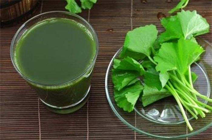 Ăn rau má hoặc uống nước ép rau má rất tốt cho hệ tim mạch.