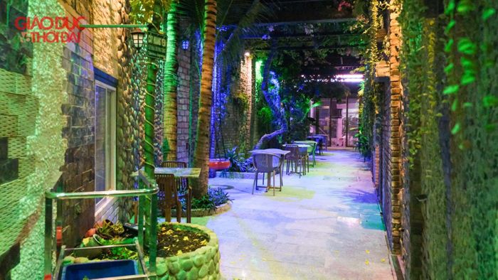 Quán cà phê được anh Trung bố trí toàn những cây độc lạ