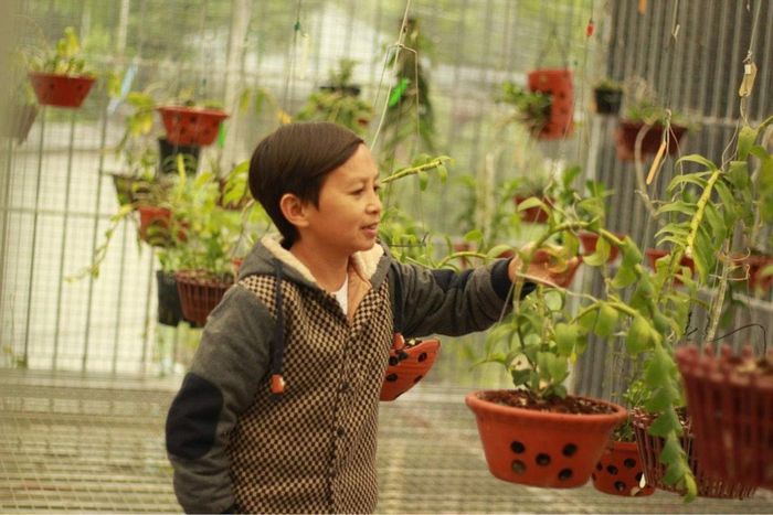 Chăm sóc tỉ mỉ cho từng chậu lan