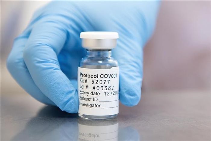 Vaccine ngừa COVID-19 do hãng dược phẩm AstraZeneca của Anh cùng với Đại học Oxford phát triển. Ảnh: AFP/TTXVN