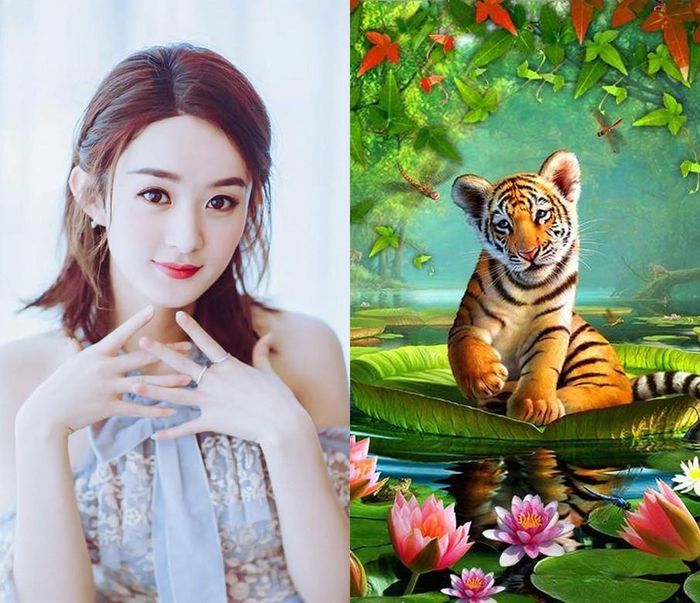 Tuổi Dần: Công việc đi xuống, thi phi do lời ăn tiếng nói không cẩn thận. Tài vận không tốt, chi nhiều hơn thu. Tình cảm ổn định.
