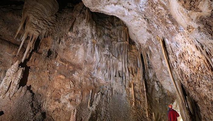 Kể từ khi được phát hiện vào năm 2016, Didonghe Tiankeng đã thu hút nhiều học giả và nhà thám hiểm trong và ngoài nước.