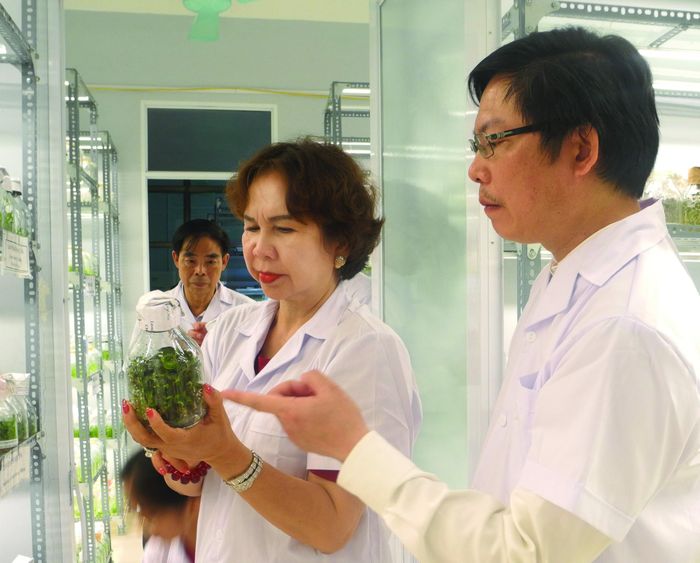 Chủ tịch HĐQT Tập đoàn Thiên Minh Đức - bà Chu Thị Thành tham quan Phòng nuôi cấy mô Viện nghiên cứu và phát triển Lâm nghiệp ĐH Nông Lâm TP Thái Nguyên. Ảnh: PV