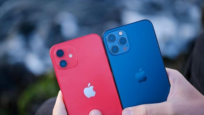 iPhone 12 và iPhone 12 Pro. (Ảnh: Android Authority)