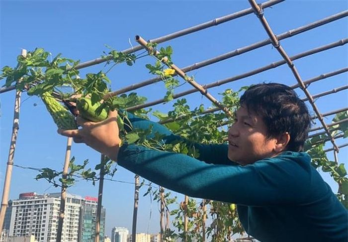 Những ngày qua, chị Hoa Đặng thường xuyên đăng ảnh chồng tự tay chăm bón, tỉa lá và bắt sâu cho từng gốc cây trong khu vườn sân thượng. Sau giờ làm việc, biểu diễn, trồng vườn là niềm vui của anh chị.