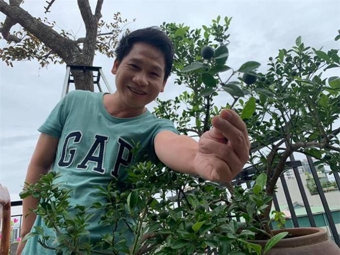 Ngoài rau xanh, anh trồng thêm các loại cây ăn trái trong đó có quất, ớt...
