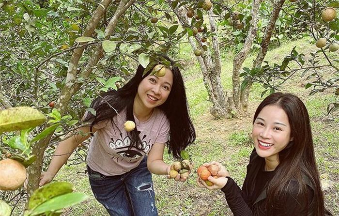 Vợ chồng Việt Hoàn từ nhiều năm nay đã chuyển về ngoại ô sống để chiều theo sở thích vui thú điền viên của anh. Cặp nghệ sĩ thường xuyên mời bạn bè thân thiết về chơi, tận hưởng không khí trong lành. Cách đây vài tuần, Việt Hoàn mời vợ chồng Trọng Tấn và Đăng Dương về nông trại rộng hơn 10.000 m2 của mình để tập luyện cho liveshow 'Đường chúng ta đi'. Trong khi ba ông chồng tập nhạc, các bà vợ rủ nhau đi hái chanh đào, ngắm hoa và chụp ảnh 'tự sướng'.