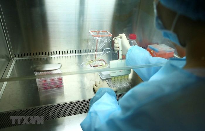 Thực hiện phân lập virus của nhóm khoa học nữ tại Viện Vệ sinh Dịch tễ Trung ương. (Ảnh: Minh Quyết/TTXVN)