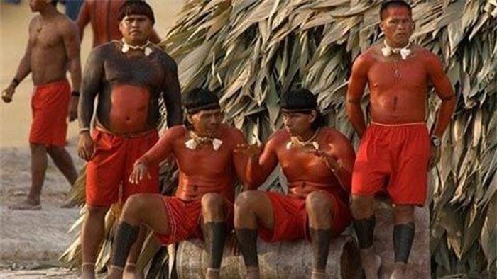  Sự khác biệt về hình thái học của người Xavante bắt nguồn từ văn hóa tình dục của họ. 