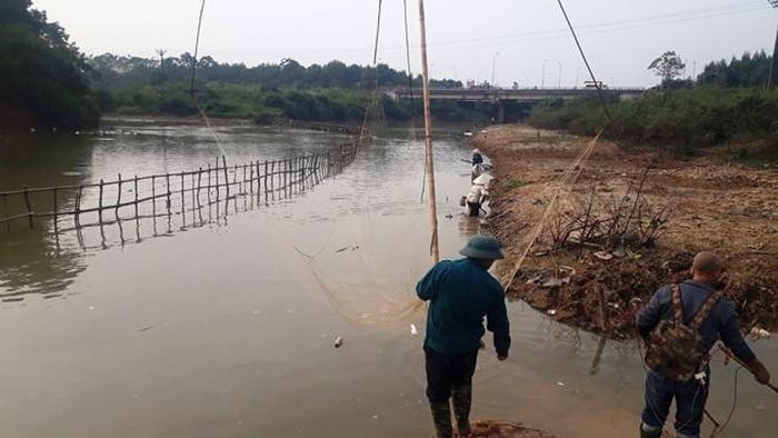  Theo phản ánh của người dân, đã có hàng tấn cá nổi, chết được người dân vớt trong ngày hôm nay.