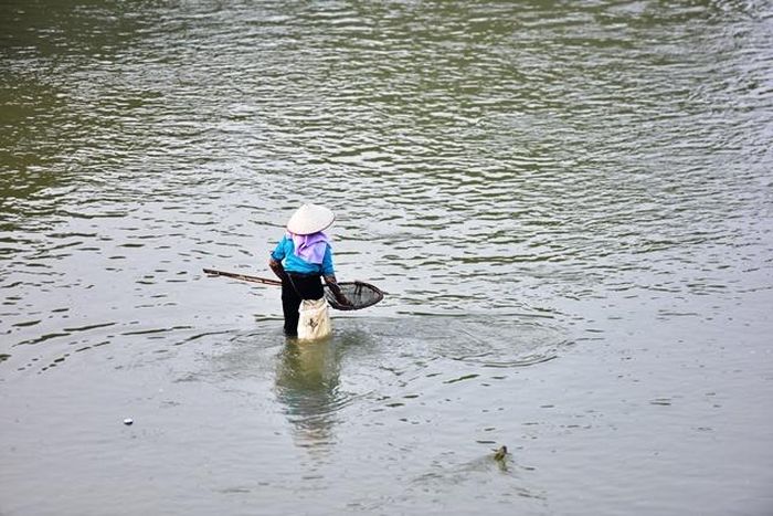 Người dùng vợt...