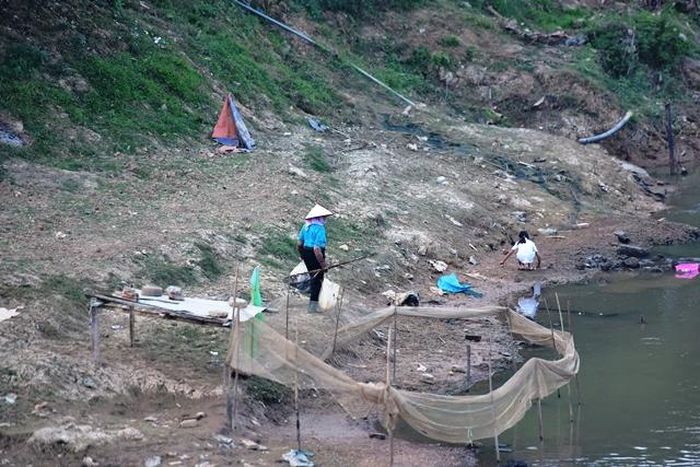 Chỉ trong vòng 30 phút có mặt tại đây, theo ghi nhận của chúng tôi, người phụ nữ trong ảnh đã thu hoạch được 2 túi cá khá đầy.