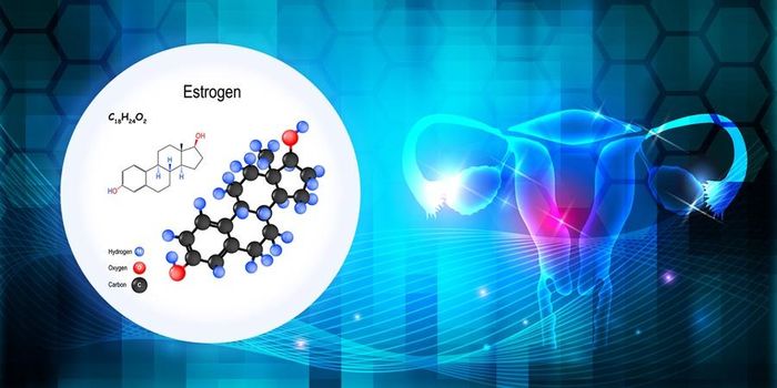 Estrogen được tiết ra từ buồng trứng.