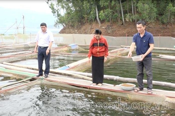 Ông Là Văn Nói (bên phải) phát triển nuôi cá lồng trên hồ thủy điện Sơn La.