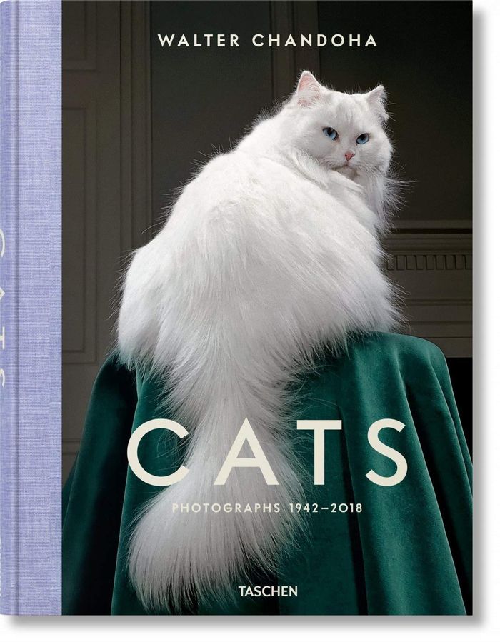  Trong khi chuẩn bị cho cuốn sách TASCHEN Cats, ra mắt năm 2019, được giới phê bình đánh giá cao, Chandoha đã tự tay lựa chọn những bức ảnh yêu thích về loài chó để làm chuẩn bị cho dự án tiếp theo. Ảnh: Amazon. 