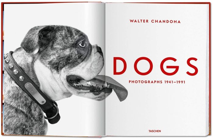  Lần giở những trang sách, độc giả được thấy các loài chó sục, chó collie, chó beagle, chó săn, chó poodle, chó nhỏ, chó lớn, chó cảnh, chó làm việc và nhiều loài khác. Có hơn 60 giống xuất hiện trong những bức ảnh cả màu rực rỡ và đen trắng sắc nét. Ảnh: Amazon. 