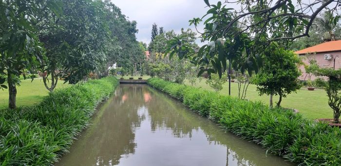 Không gian xanh mát tại Hakia Garden. Ảnh: Thiên Thanh
