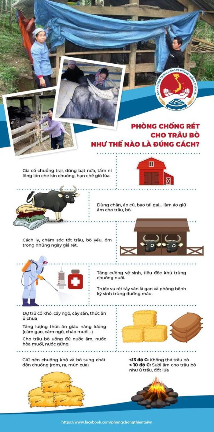Cách phòng chống rét cho động vật nuôi. Nguồn: Ban chỉ đạo Trung ương về Phòng chống thiên tai.